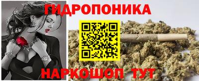 индика Можайск