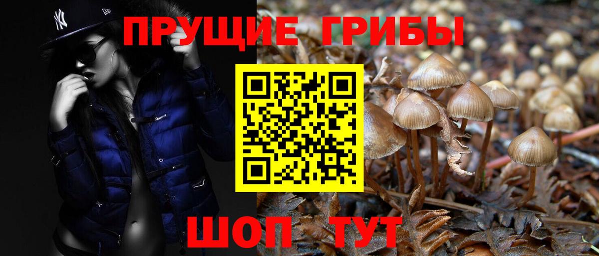 Галлюциногенные грибы прущие грибы Симферополь