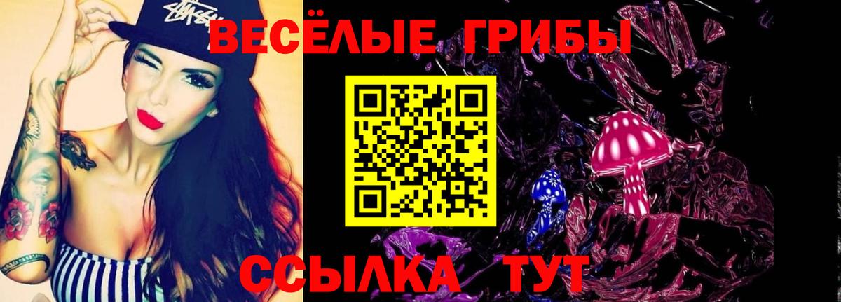 Галлюциногенные грибы MAGIC MUSHROOMS  Вход с VPN  Симферополь 